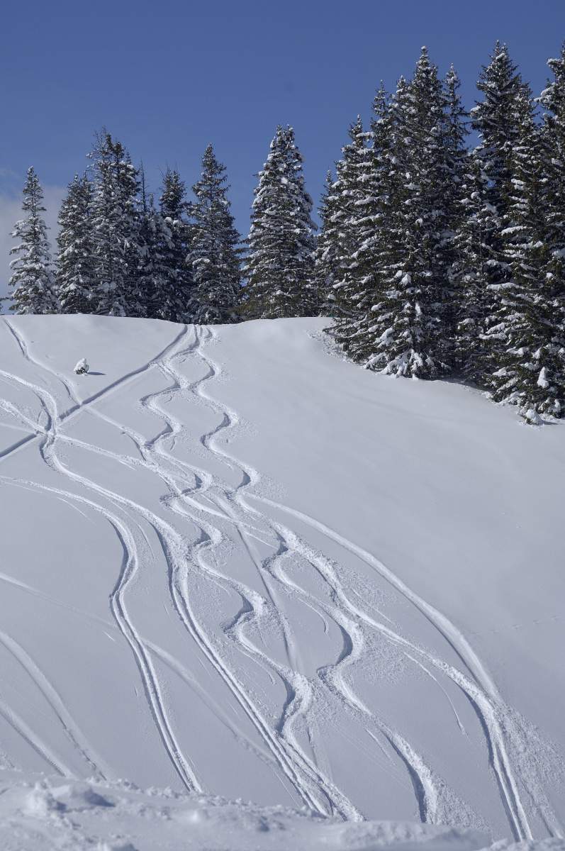 Piste de ski à Courchevel, accessible depuis l'hôtel Le Lana, Hôtel de luxe au pied des pistes à Courchevel en Savoie